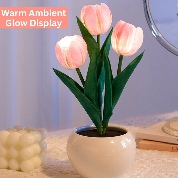 Glowing Tulip: Premium Table Lamp