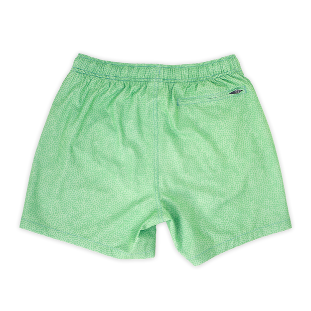 Stretch Swim 5.5" back in Seafoam green pattern with slightly darker small green dots with an elastic waistband and back right zippered pocket