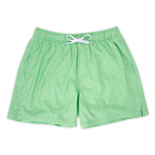 Stretch Swim 5.5" front in Seafoam green pattern with slightly darker small green dots with an elastic waistband, two side seam pockets, and a white drawstring