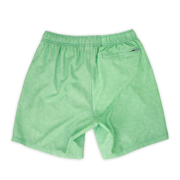 Stretch Swim 7" back in Seafoam green pattern with slightly darker small green dots with an elastic waistband and back right zippered pocket