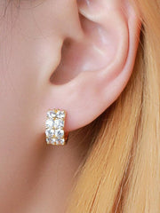 Gold Inlaid Exquisite Zircon Earrings