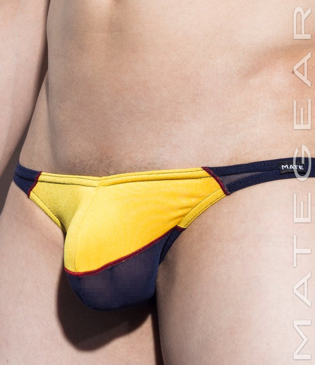 Sexy Men's Swimwear Mini Swim Bulge Bikini - Roe Young (Mesh Xpression Series)